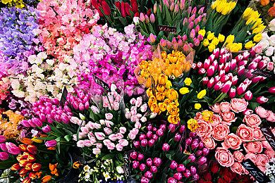 《UFC 5》官方展示预告片 10月26日正式发售