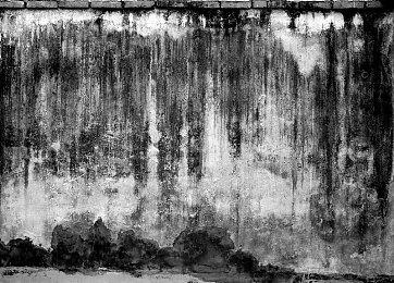 《浩劫前夕》商标注册者确认：正采取措施保护权益